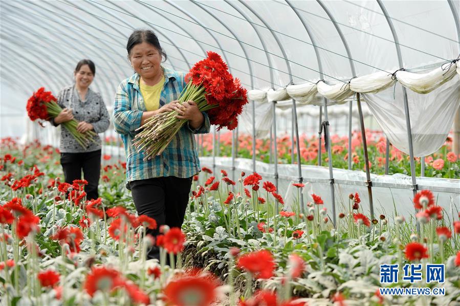 （大江奔流&mdash;&mdash;來(lái)自長(zhǎng)江經(jīng)濟(jì)帶的報(bào)道&middot;新華全媒頭條&middot;圖文互動(dòng)）（3）擘畫(huà)新時(shí)代中國(guó)發(fā)展新坐標(biāo)&mdash;&mdash;深入推動(dòng)長(zhǎng)江經(jīng)濟(jì)帶發(fā)展述評(píng)  