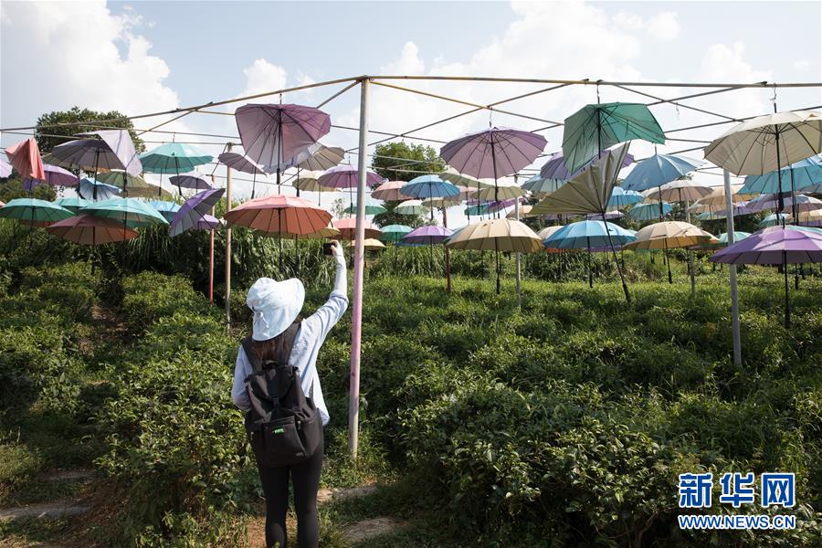 （大江奔流&mdash;&mdash;來自長(zhǎng)江經(jīng)濟(jì)帶的報(bào)道&middot;圖文互動(dòng)）（4）在這里，做一個(gè)幸福的農(nóng)民