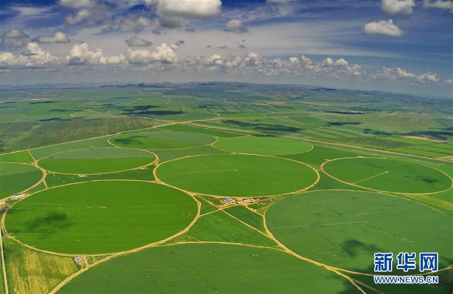 （經(jīng)濟(jì)）（2）綠染塞北農(nóng)田 展壩上現(xiàn)代農(nóng)業(yè)新姿