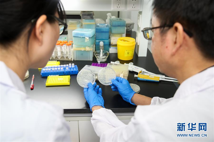 （新華全媒頭條&middot;圖文互動(dòng)）（2）人造單條染色體真核細(xì)胞問世　我國(guó)開啟合成生物學(xué)研究新時(shí)代