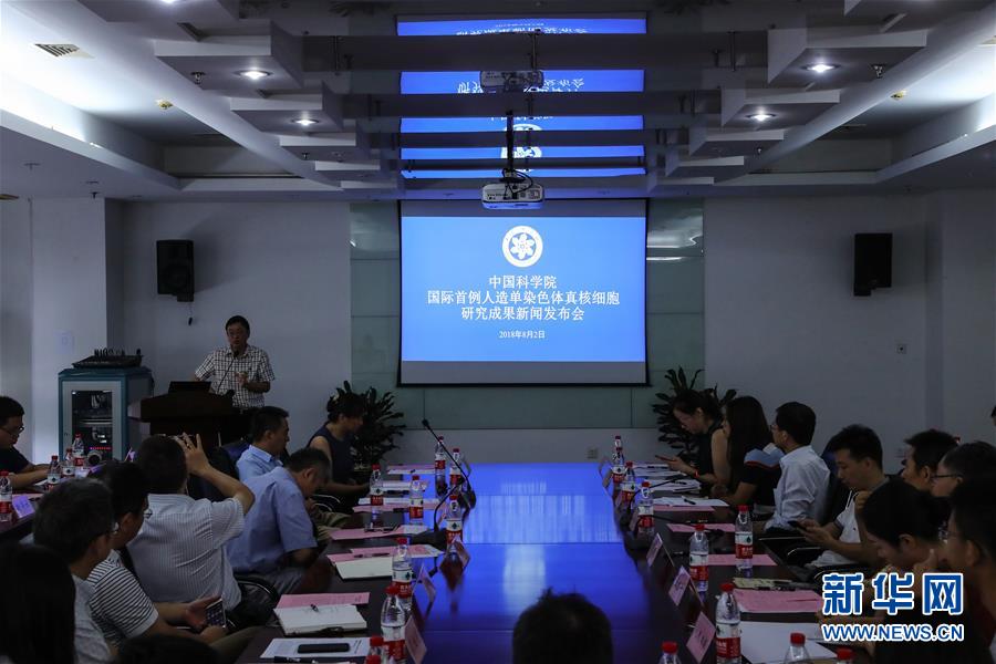 （新華全媒頭條&middot;圖文互動）（6）人造單條染色體真核細胞問世　我國開啟合成生物學研究新時代