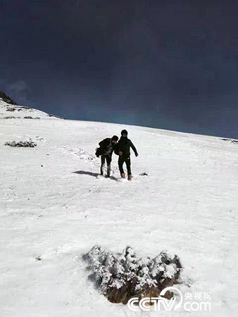 下雪天巡護也是常有的事。