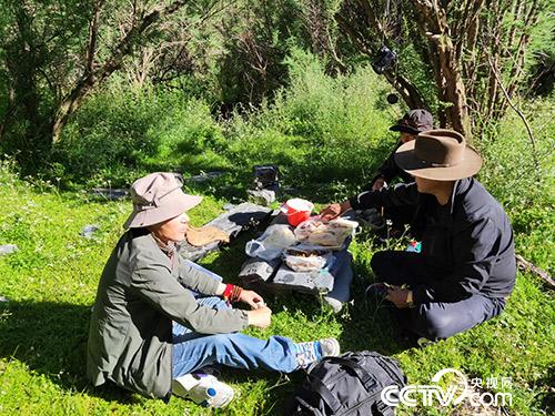 長途跋涉途中休息。