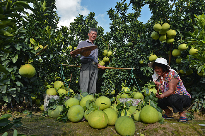 秋收的中國，你想象不到的美！但更美的是&hellip;&hellip;