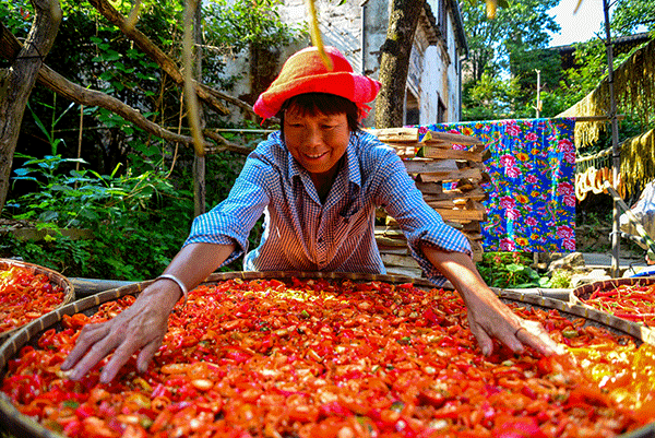 秋收的中國，你想象不到的美！但更美的是&hellip;&hellip;