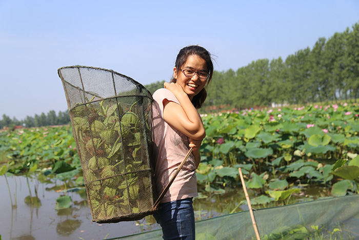秋收的中國，你想象不到的美！但更美的是&hellip;&hellip;
