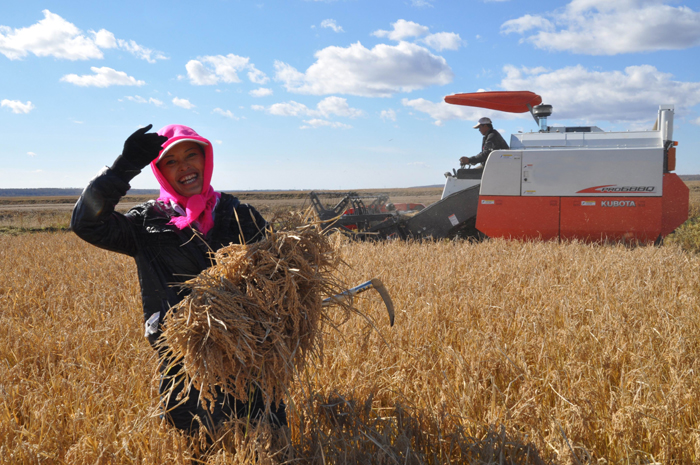 秋收的中國，你想象不到的美！但更美的是&hellip;&hellip;