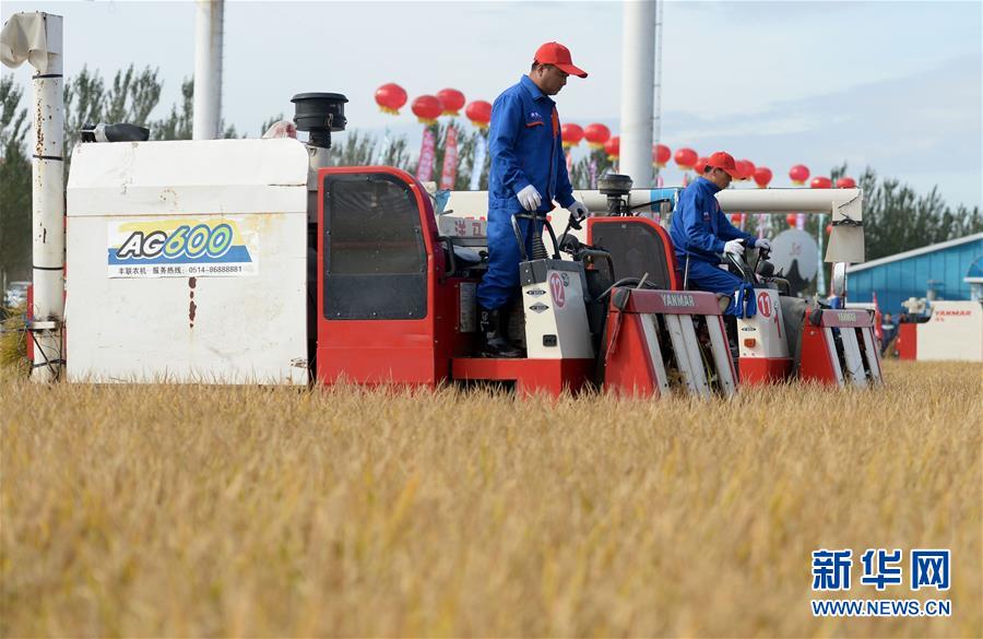 （新華全媒頭條&middot;圖文互動(dòng)）（9）最年輕的節(jié)日 最悠久的牽念&mdash;&mdash;寫給首個(gè)中國農(nóng)民豐收節(jié)