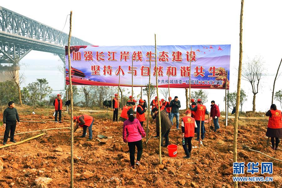 （在習(xí)近平新時代中國特色社會主義思想指引下&mdash;&mdash;新時代新作為新篇章&middot;圖文互動）（2）湖北枝城鎮(zhèn)：片區(qū)黨建助推鄉(xiāng)村全面振興