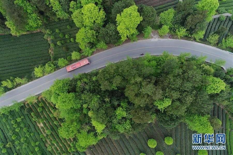 （新華全媒頭條&middot;圖文互動）（6）希望灑在金色田野&mdash;&mdash;寫在鄉(xiāng)村振興戰(zhàn)略實施一周年之際
