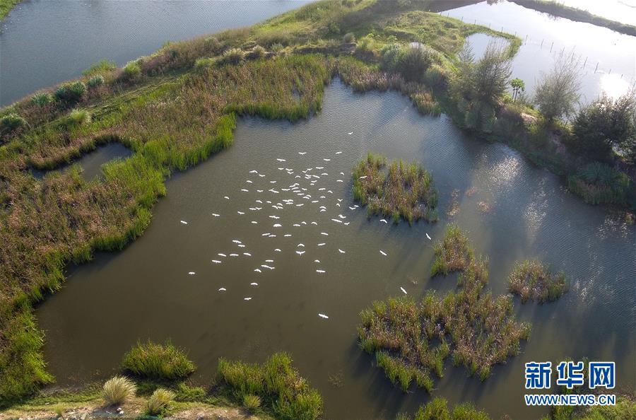 （圖文互動(dòng)&middot;百城百縣百企調(diào)研行）（5）&ldquo;濕地?？?rdquo;的生態(tài)文明建設(shè)實(shí)踐