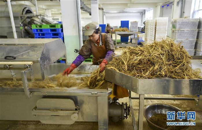 （百城百縣百企調(diào)研行&middot;圖文互動）（5）吉林集安：邊陲&ldquo;綠色明珠&rdquo;為何如此閃亮？