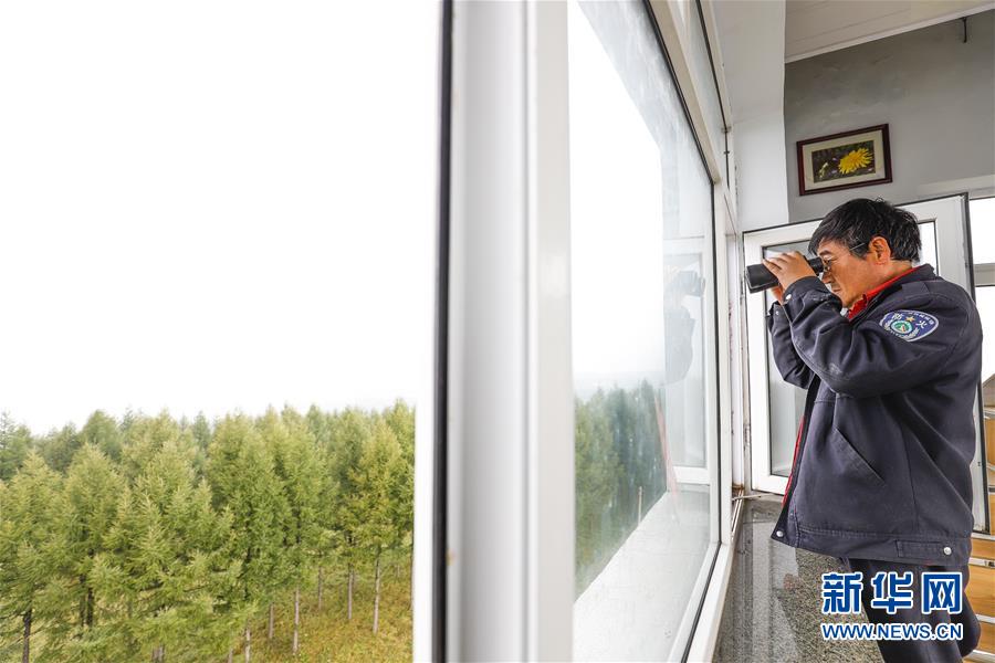 （新華全媒頭條&middot;圖文互動）（3）那一抹綠色，走進越來越多人心里&mdash;&mdash;河北塞罕壩續(xù)寫新時代綠色傳奇