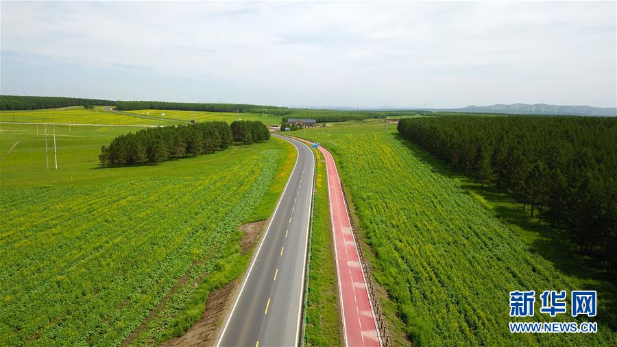 （新華全媒頭條&middot;圖文互動）（4）那一抹綠色，走進越來越多人心里&mdash;&mdash;河北塞罕壩續(xù)寫新時代綠色傳奇