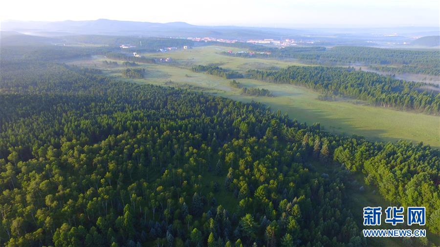 （新華全媒頭條&middot;圖文互動）（5）那一抹綠色，走進越來越多人心里&mdash;&mdash;河北塞罕壩續(xù)寫新時代綠色傳奇