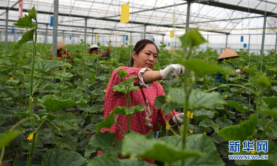 （新華全媒頭條&middot;圖文互動(dòng)）（11）心中有夢(mèng)想，腳下就有力量&mdash;&mdash;寫在&ldquo;中國(guó)夢(mèng)&rdquo;提出六周年之際