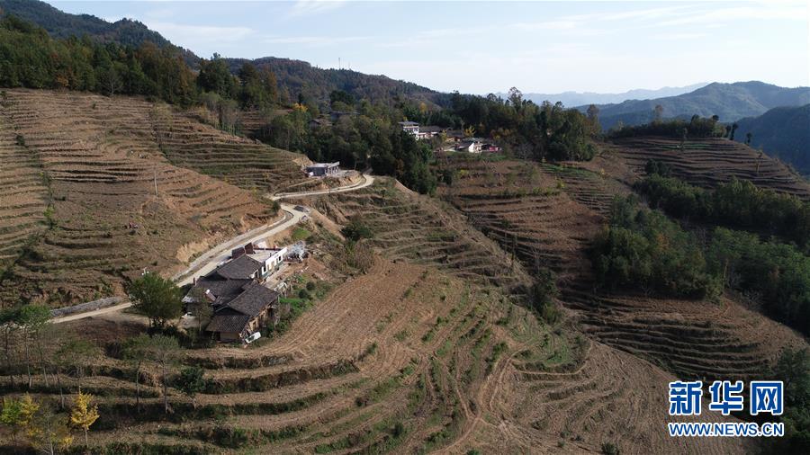 （在習近平新時代中國特色社會主義思想指引下&middot;慶祝改革開放40周年&middot;共享發(fā)展&middot;圖文互動）（3）&ldquo;浙江親人&rdquo;請心安 白茶苗已種滿山&mdash;&mdash;浙江安吉捐贈四川青川白茶苗種植地探訪