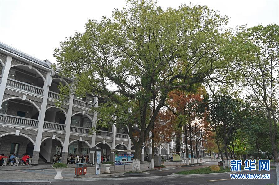 （慶祝改革開放40周年基層行&middot;學(xué)校篇&middot;圖文互動）（9）白鷺洲中學(xué)40年:書院教育的時代探索