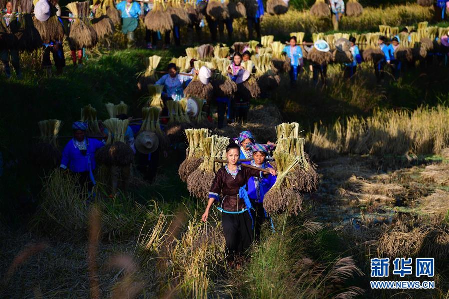 （輝煌60年&middot;壯美新廣西&middot;圖文互動）（6）攜手描繪八桂大地上的美麗畫卷&mdash;&mdash;寫在廣西壯族自治區(qū)成立60周年之際