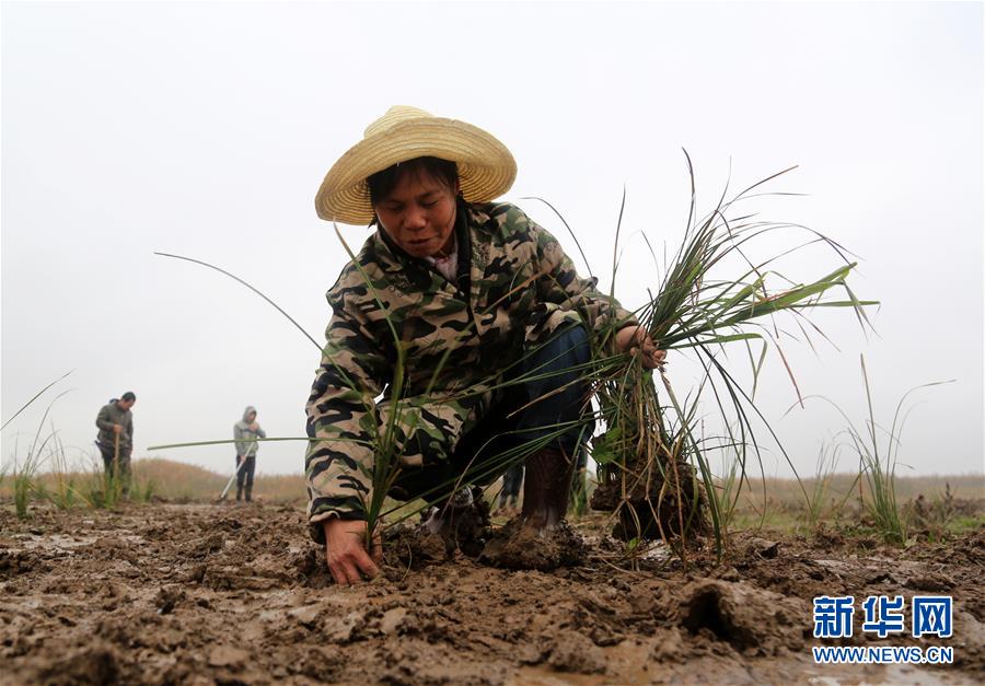 （新華視點&middot;回望2018&middot;圖文互動）（3）2018年新華社曝光多起破壞生態(tài)事件，記者年底追訪發(fā)現(xiàn)&hellip;&hellip;