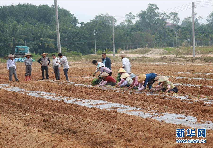 （新華視點&middot;回望2018&middot;圖文互動）（7）2018年新華社曝光多起破壞生態(tài)事件，記者年底追訪發(fā)現(xiàn)&hellip;&hellip;