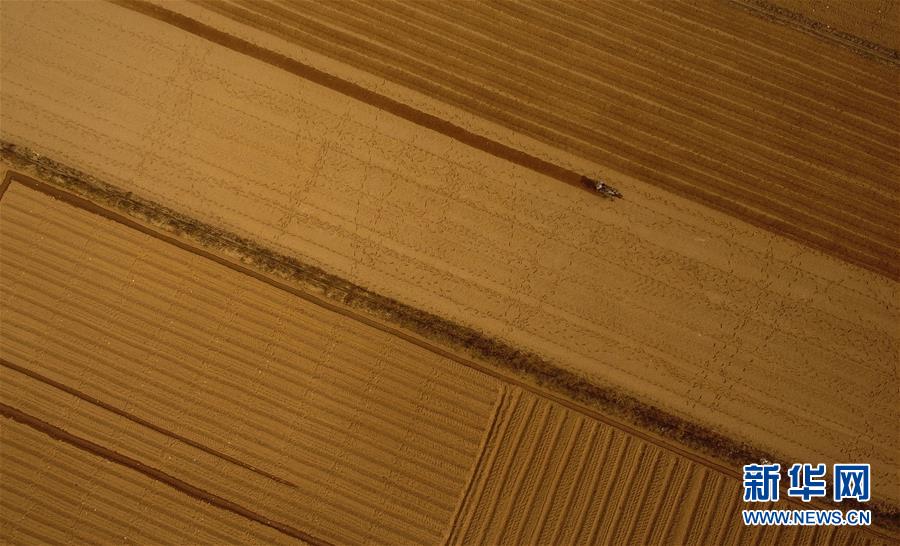 （百城百縣百企調研行&middot;圖文互動）（2）海南農墾：農業(yè)&ldquo;國家隊&rdquo;打贏改革&ldquo;翻身仗&rdquo;