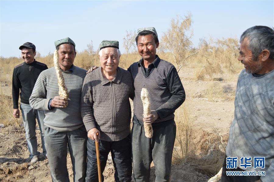 （圖文互動）（3）&ldquo;劉紅柳&rdquo;，一輩子大漠扎根種樹