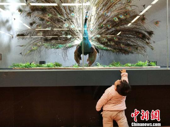 圖為展覽現(xiàn)場?！『h(yuǎn)航 攝