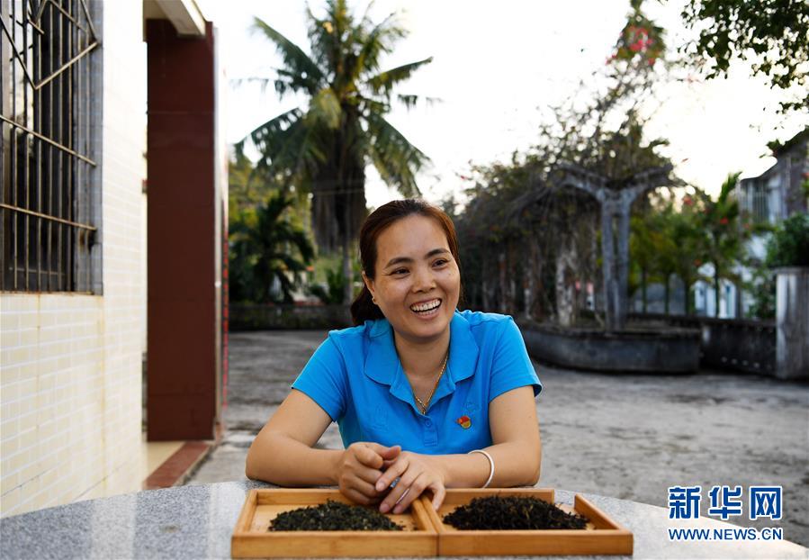 （奮進(jìn)新時(shí)代&middot;迎接兩會(huì)）（3）開(kāi)放發(fā)展&mdash;&mdash;推動(dòng)形成全面開(kāi)放新格局