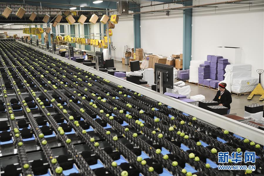 （奮進(jìn)新時(shí)代&middot;迎接兩會）（16）開放發(fā)展&mdash;&mdash;推動形成全面開放新格局