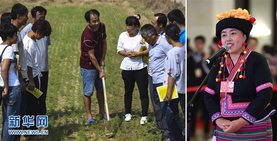 (兩會(huì)·影像鏈接)全國政協(xié)委員張敏:培養(yǎng)新型農(nóng)民 助力脫貧攻堅(jiān)