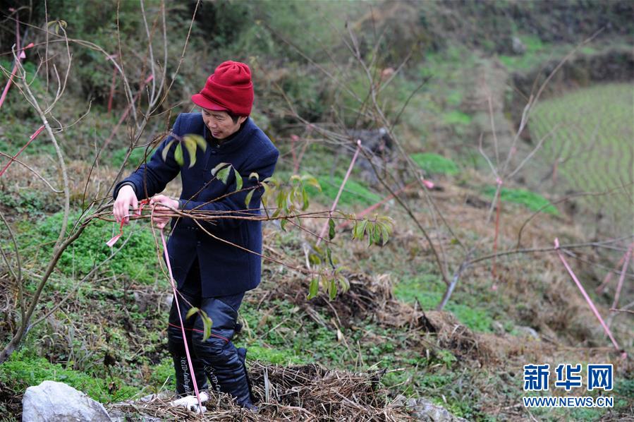 （圖文互動(dòng)）（3）平靜而充滿力量&mdash;&mdash;&ldquo;中國(guó)網(wǎng)事&middot;感動(dòng)2018&rdquo;年度網(wǎng)絡(luò)人物群像