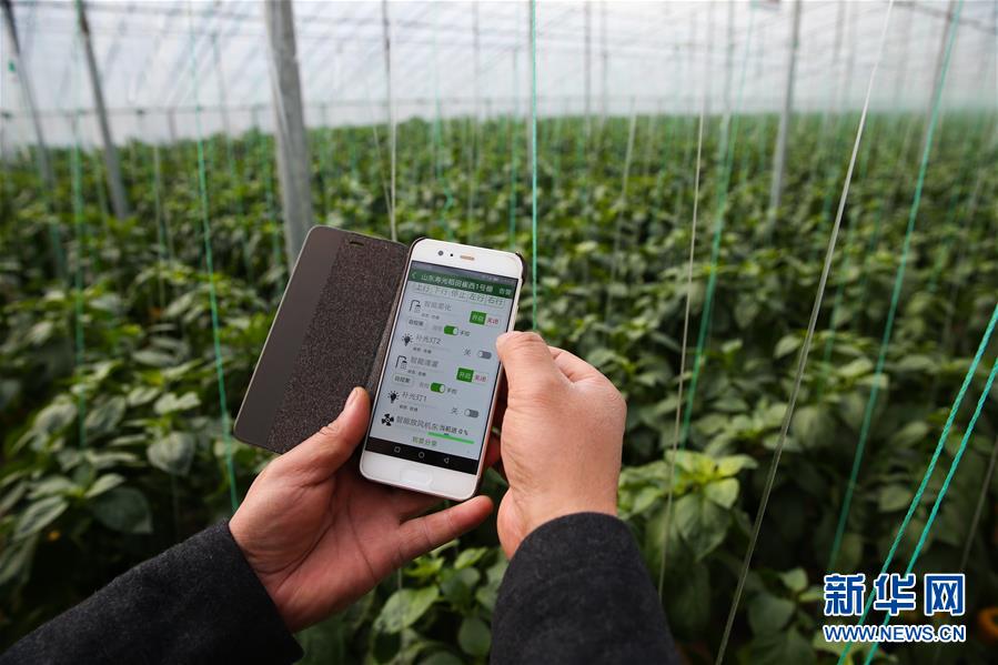 （新華全媒頭條&middot;圖文互動）（8）聚焦高質(zhì)量，躍上新臺階&mdash;&mdash;新年開局看中國經(jīng)濟(jì)信心和潛力