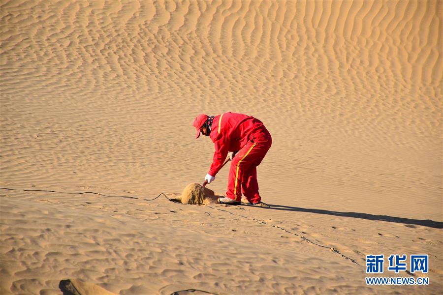 （新春走基層&middot;圖文互動(dòng)）（3）走進(jìn)塔克拉瑪干：探訪(fǎng)沙漠物探人