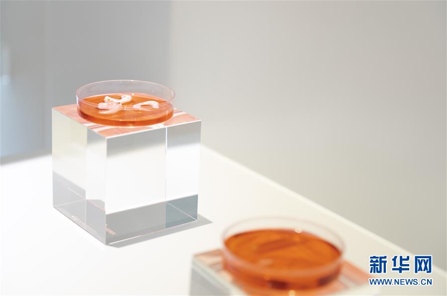 (兩會前夕看落實·圖文互動)(4)“三個第一”催奮進 珠江潮起再出發(fā)——廣東落實習近平總書記全國兩會重要講話精神紀實