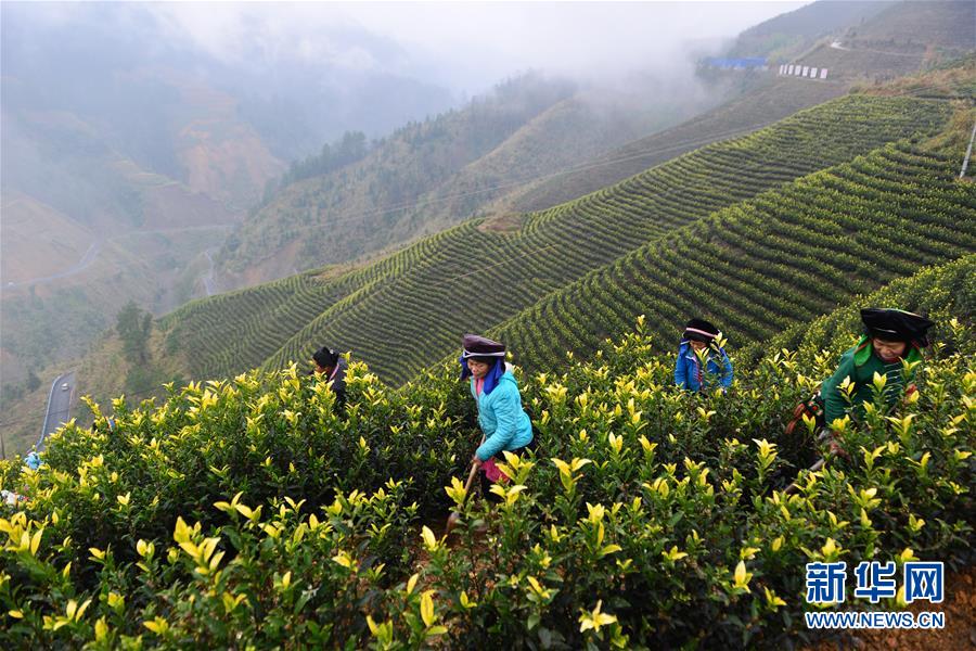（兩會前夕看落實&middot;圖文互動）（8）決戰(zhàn)脫貧攻堅 奮力后發(fā)趕超&mdash;&mdash;貴州落實習(xí)近平總書記全國兩會重要講話精神紀(jì)實