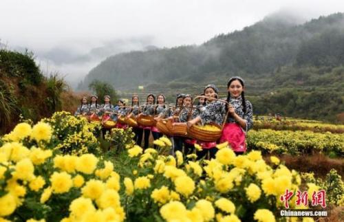 &ldquo;最中國美鄉(xiāng)村&rdquo;江西省婺源縣。胡敦煌 攝