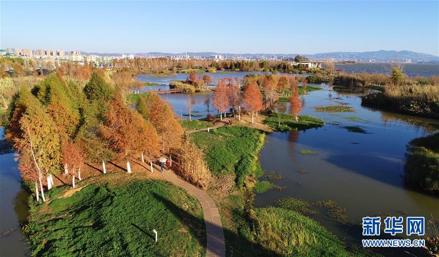 （在習(xí)近平新時代中國特色社會主義思想指引下&mdash;&mdash;新時代新作為新篇章&middot;圖文互動）（5）高原春來早 云嶺開新篇 