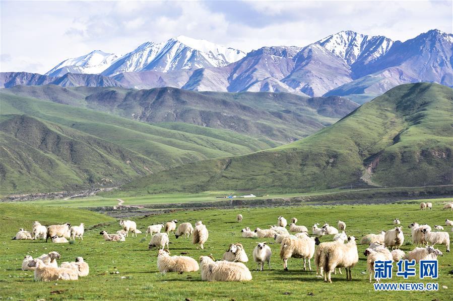 (兩會前夕看落實·圖文互動)(1)以“一優(yōu)兩高”戰(zhàn)略描繪三江源壯美畫卷——青海落實習(xí)近平總書記全國兩會重要講話精神紀實