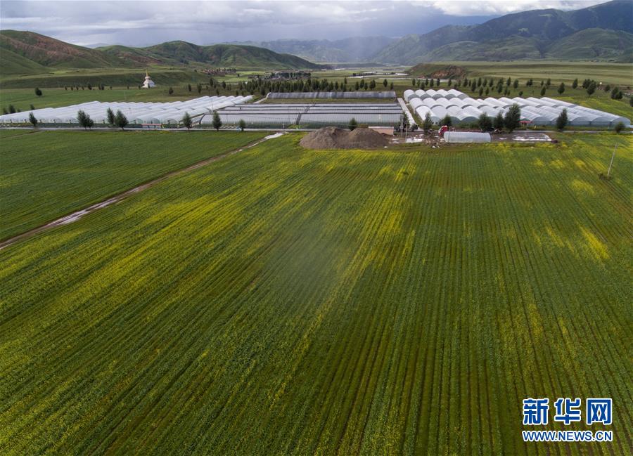 （兩會(huì)前夕看落實(shí)&middot;圖文互動(dòng)）（6）&ldquo;飛針走線&rdquo;&ldquo;繡&rdquo;出小康畫(huà)卷&mdash;&mdash;四川落實(shí)習(xí)近平總書(shū)記全國(guó)兩會(huì)重要講話精神紀(jì)實(shí)