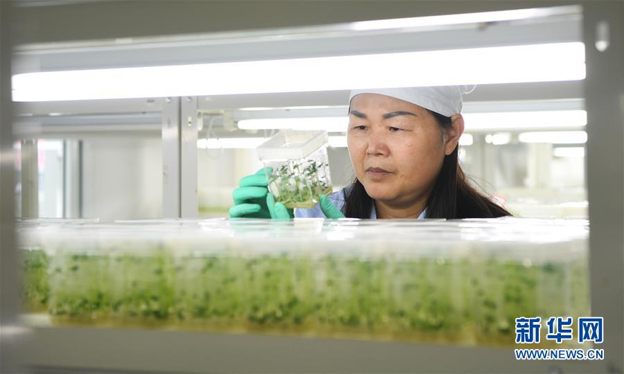 （兩會(huì)前夕看落實(shí)&middot;圖文互動(dòng)）（5）春風(fēng)涌動(dòng)兩江潮&mdash;&mdash;重慶落實(shí)習(xí)近平總書記全國兩會(huì)重要講話精神紀(jì)實(shí)