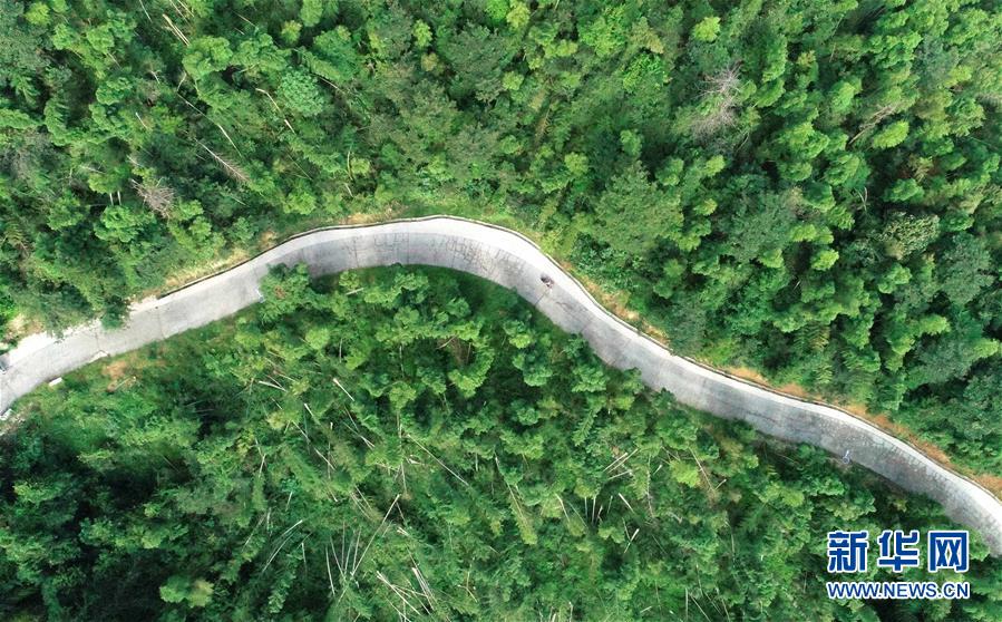 （中國(guó)網(wǎng)事&middot;感動(dòng)2019&middot;圖文互動(dòng)）（7）鄉(xiāng)村教師高自仁：60多根拐杖，撐起42年教學(xué)路