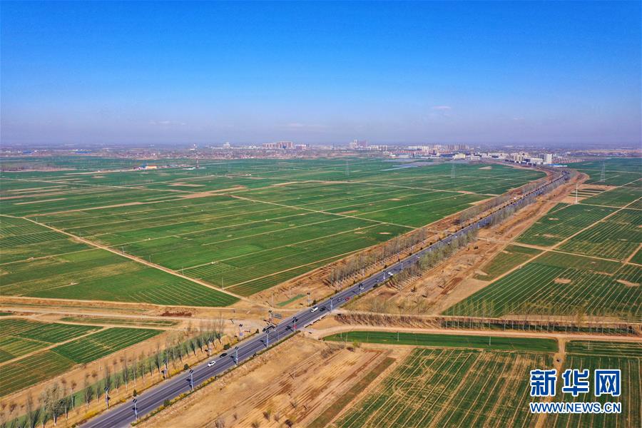 （新華全媒頭條&middot;圖文互動(dòng)）（2）奮進(jìn)，向著未來(lái)之城！&mdash;&mdash;河北雄安新區(qū)建設(shè)發(fā)展兩周年紀(jì)實(shí)