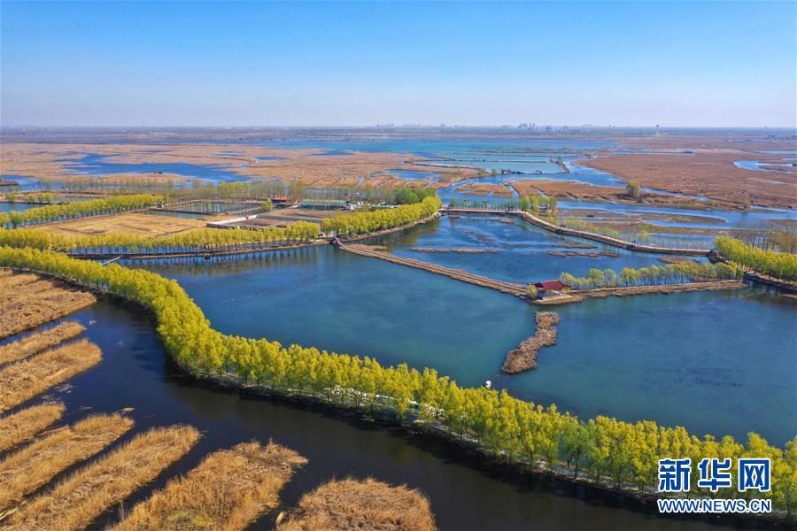 （新華全媒頭條&middot;圖文互動(dòng)）（5）奮進(jìn)，向著未來(lái)之城！&mdash;&mdash;河北雄安新區(qū)建設(shè)發(fā)展兩周年紀(jì)實(shí)