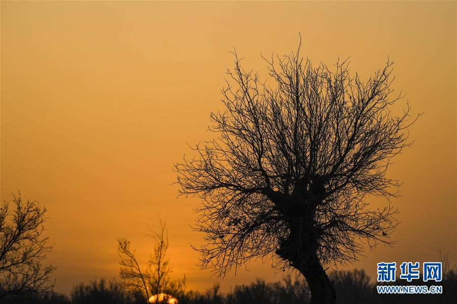 （新華全媒頭條&middot;圖文互動(dòng)）（2）一步千年，&ldquo;最后的沙漠部落&rdquo;遷入新家園