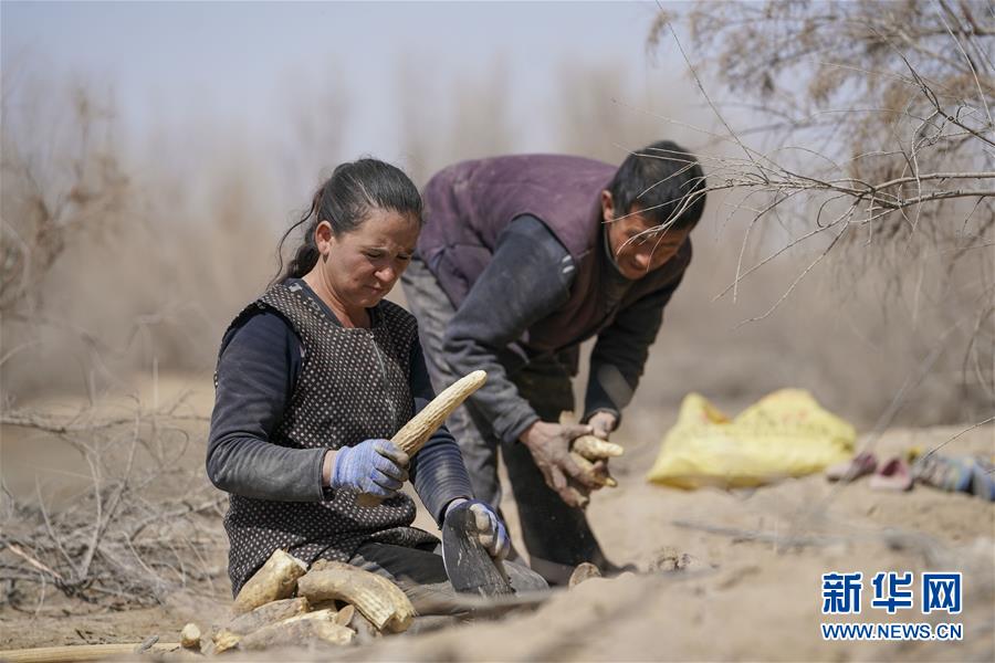 （新華全媒頭條&middot;圖文互動(dòng)）（6）一步千年，&ldquo;最后的沙漠部落&rdquo;遷入新家園