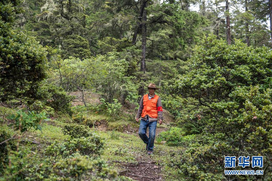 （新華全媒頭條&middot;北京世園會(huì)&middot;圖文互動(dòng)）（13）建設(shè)美麗中國(guó) 共筑綠色家園&mdash;&mdash;寫在2019年中國(guó)北京世界園藝博覽會(huì)開幕之際