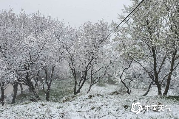 冷空氣要撤啦！今日全國降水整體弱 華南仍有強對流