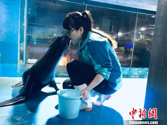 于雅麗與海獅親密瞬間?！“瑧c龍 攝