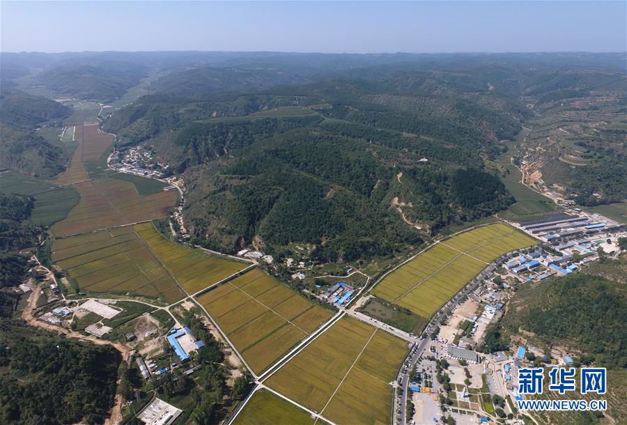 (圖文互動(dòng))(1)今日延安:“對(duì)照過去我認(rèn)不出了你”——紅色圣地的生態(tài)交響曲